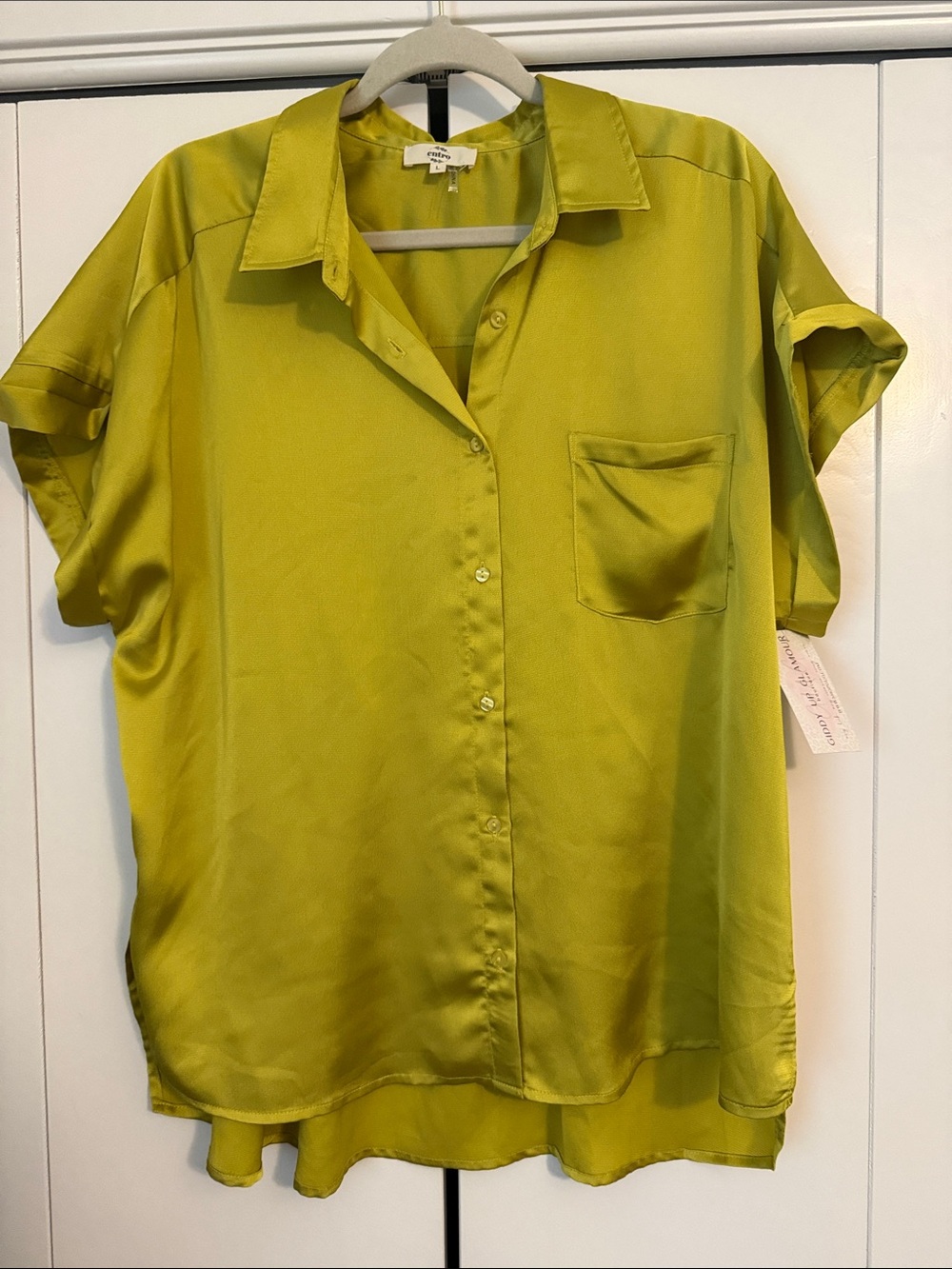 Silky Button-Front Shirt - Olive Green